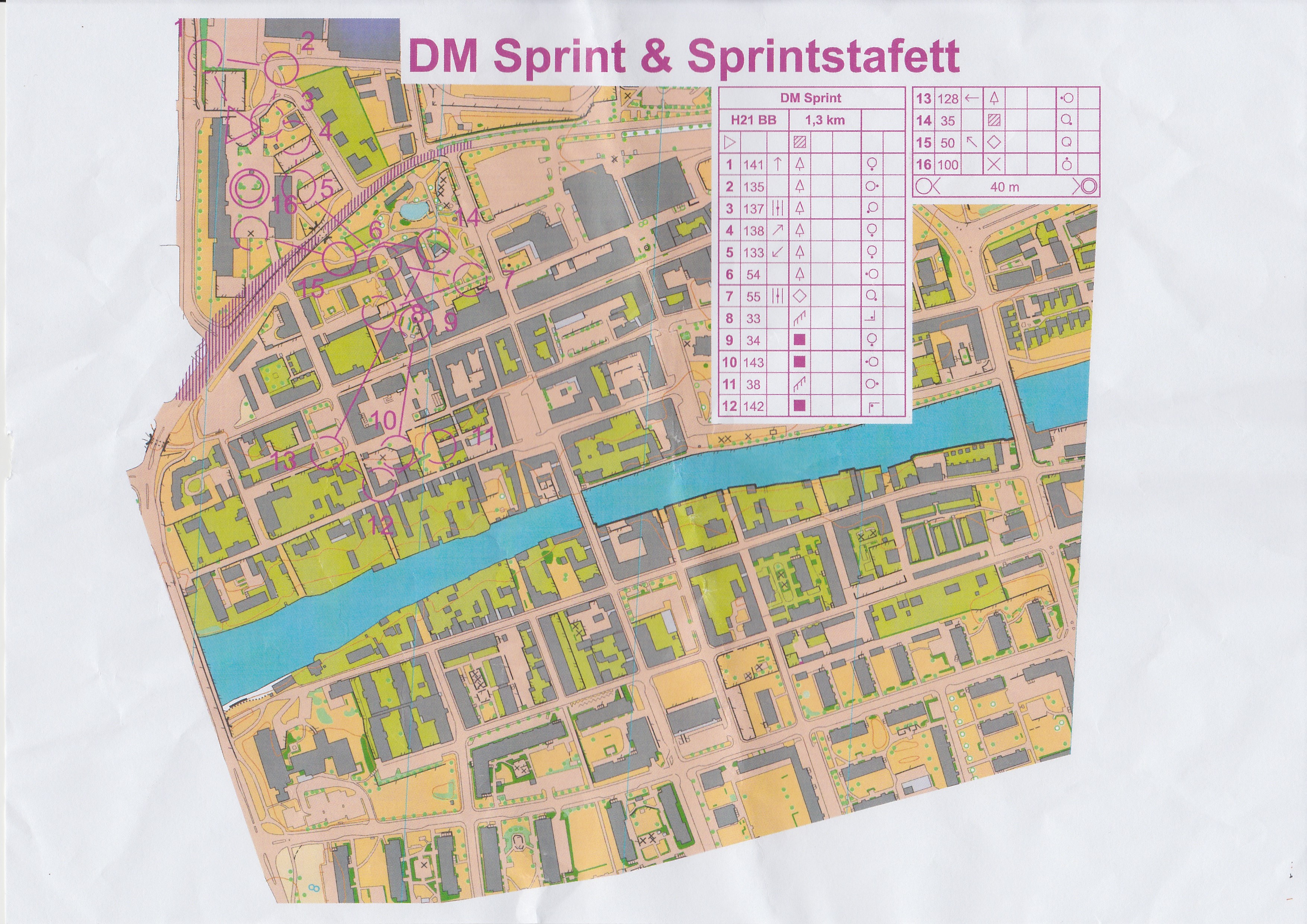 DM Sprintstafett Sträcka 4 (2017-06-11)