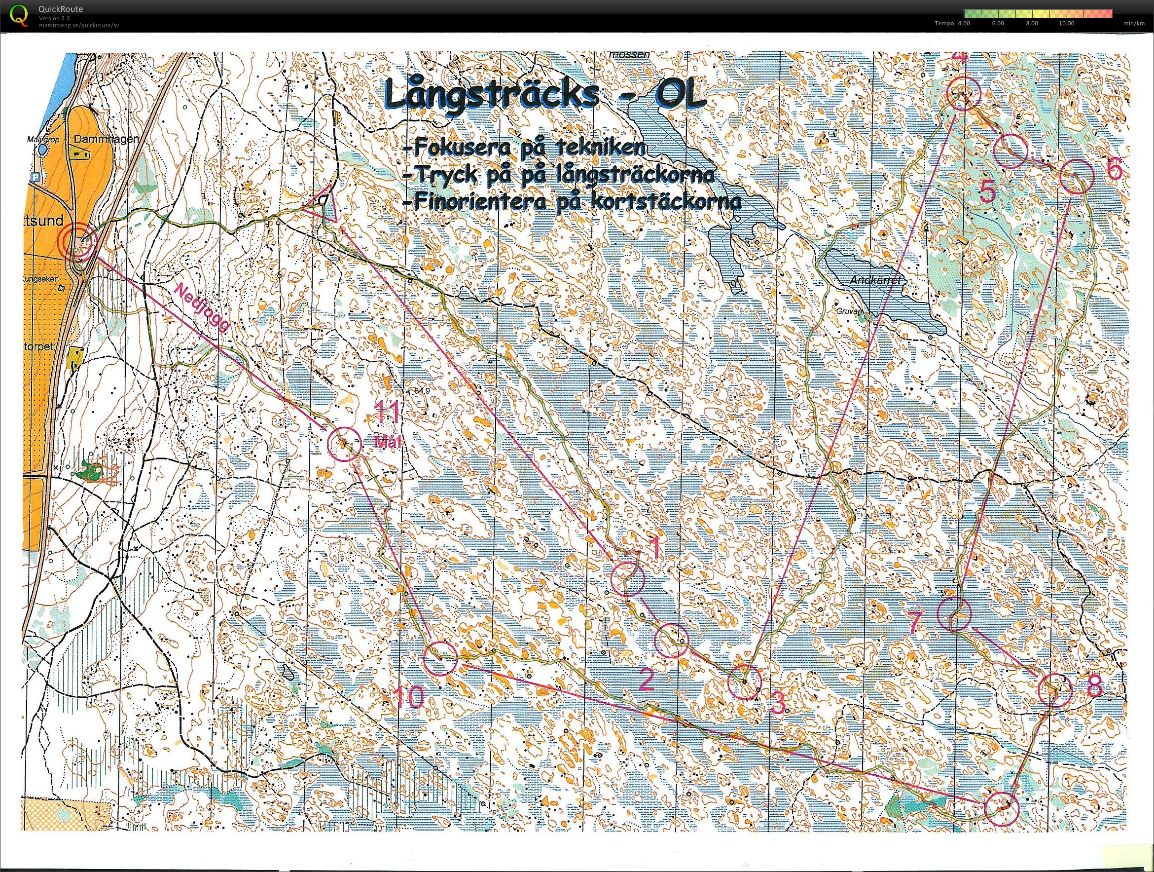 Långsträcks-OL (2011-11-26)