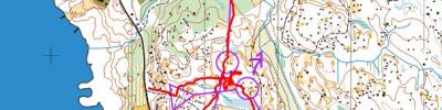 Veteran-OL Gäddeholm (10.04.2025)