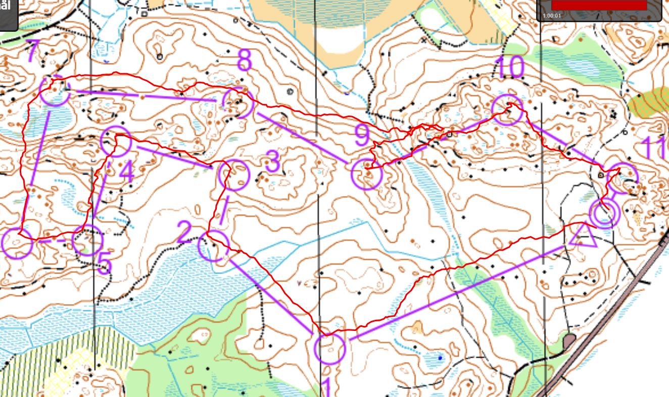 Veteran-OL SMOL (2025-05-20)