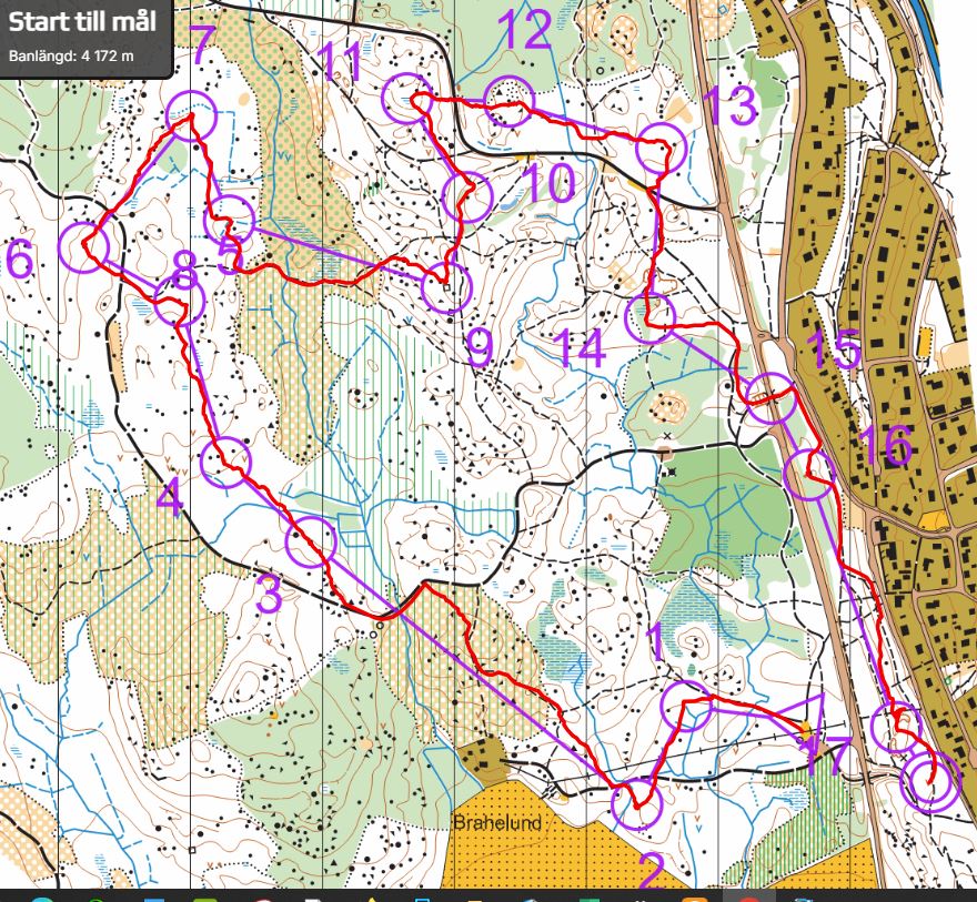 Veteran-OL Hallsta (2025-06-05)