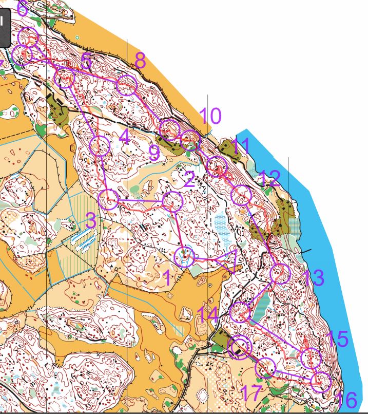 Vet-OL Ängsö (2025-09-04)