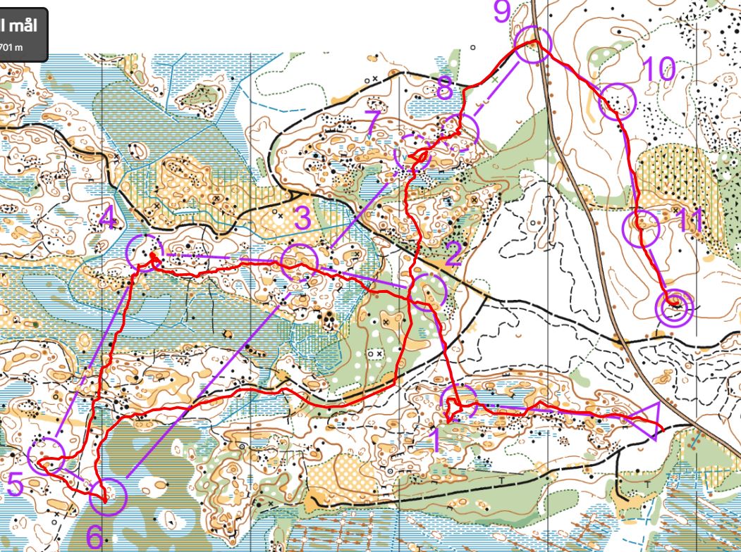 Vet-OL Ärla (2025-09-09)