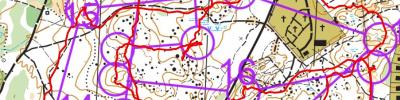 Veteran-OL_OK Tor